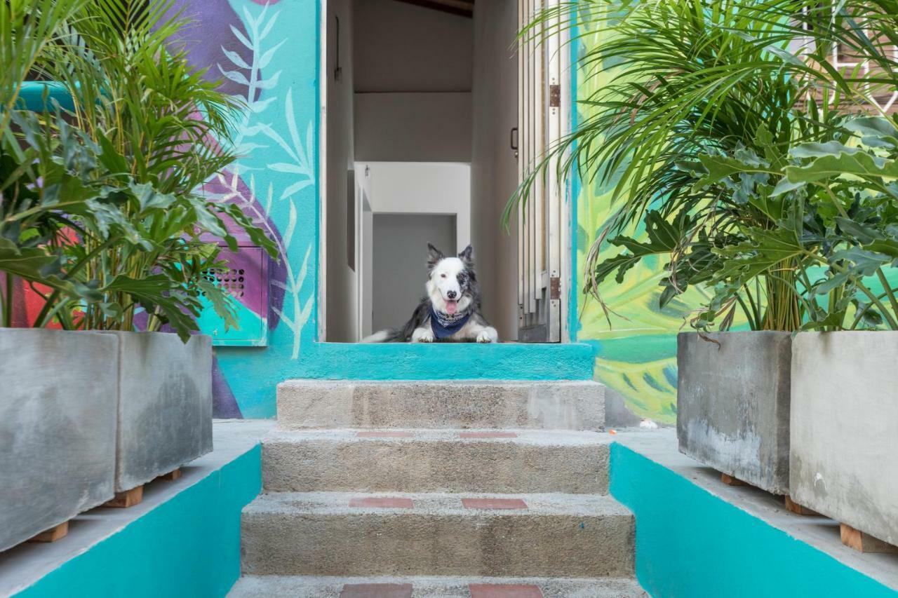 Auberge de jeunesse Gaston Coliving à Medellín Extérieur photo